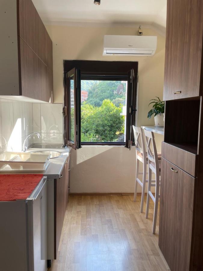 Apartman Grujicic 1 بودفا المظهر الخارجي الصورة